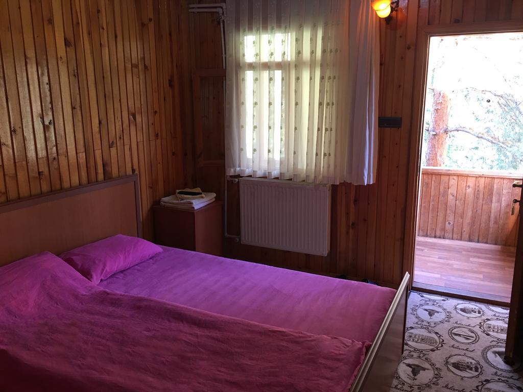 Agara Pansiyon Bostanci Номер фото